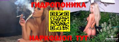 стаф Краснодар
